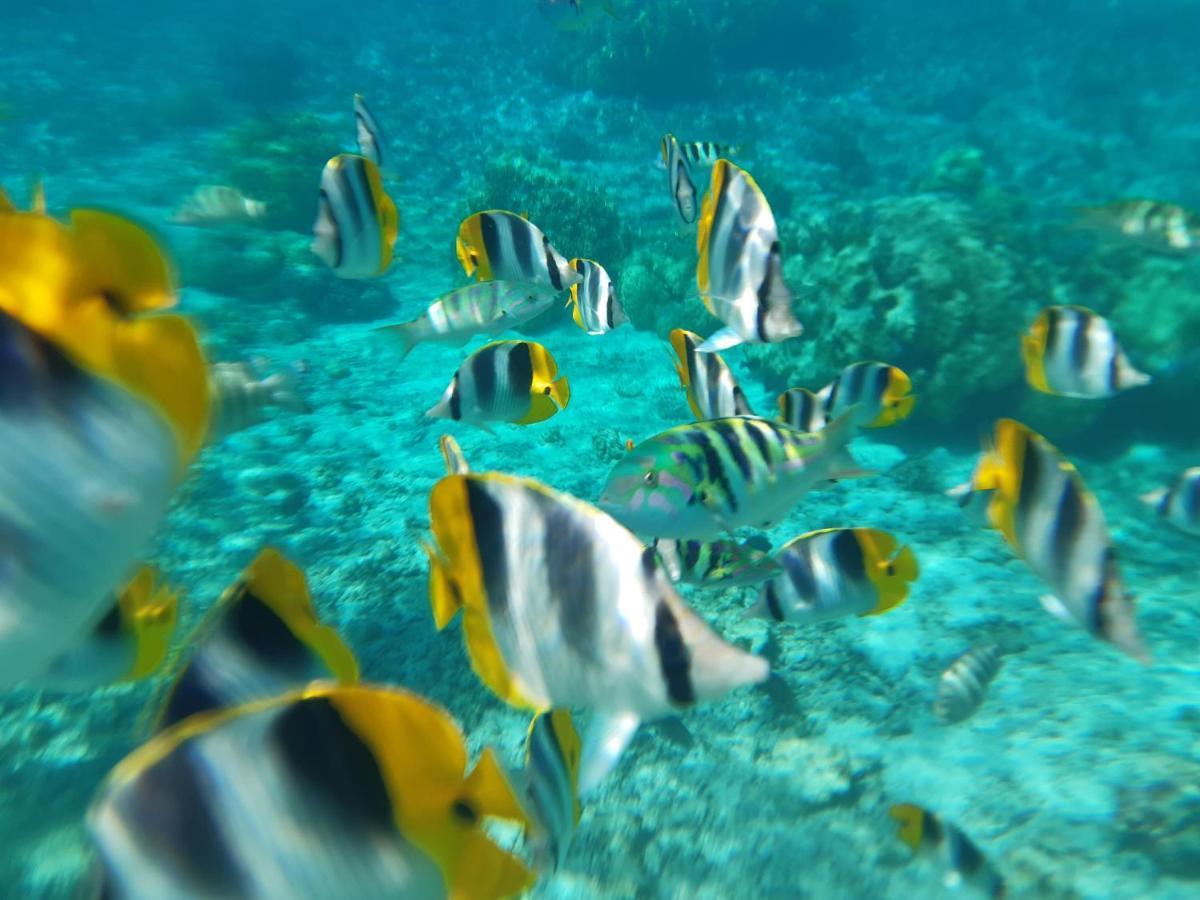 Fare O'Eden Villa Bora Bora Exteriör bild